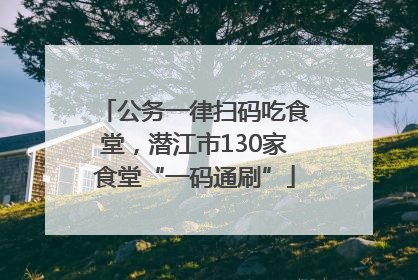 公务一律扫码吃食堂，潜江市130家食堂“一码通刷”