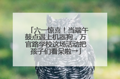 六一惊喜！当端午鼓点遇上机器狗，万官路学校这场活动把孩子们看呆啦→