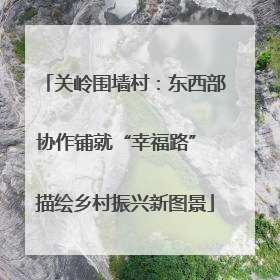 关岭围墙村：东西部协作铺就“幸福路” 描绘乡村振兴新图景
