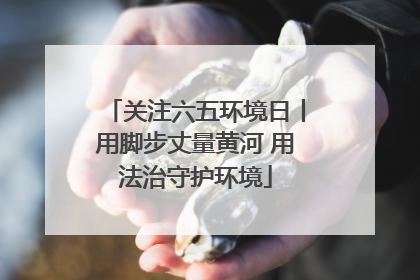 关注六五环境日丨用脚步丈量黄河 用法治守护环境