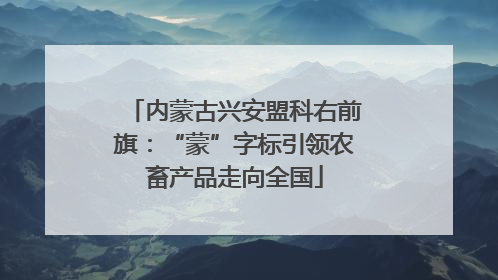 内蒙古兴安盟科右前旗：“蒙”字标引领农畜产品走向全国