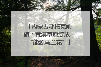 内蒙古鄂托克前旗：荒漠草原绽放“能源马兰花”