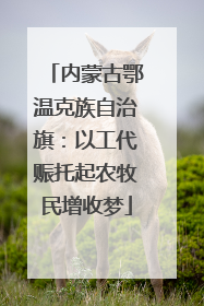 内蒙古鄂温克族自治旗：以工代赈托起农牧民增收梦