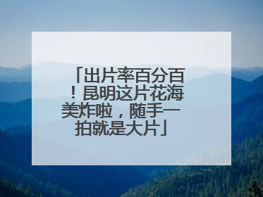 出片率百分百！昆明这片花海美炸啦，随手一拍就是大片