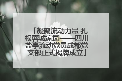 凝聚流动力量 扎根蓉城家园——四川盐亭流动党员成都党支部正式揭牌成立