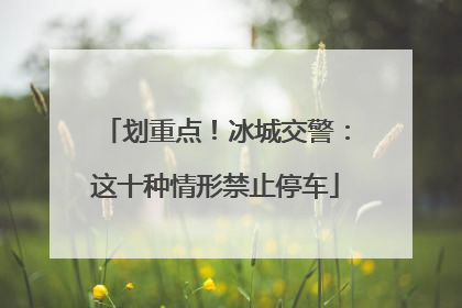 划重点！冰城交警：这十种情形禁止停车