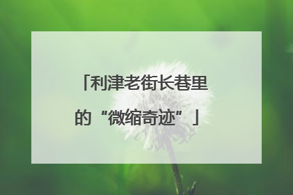 利津老街长巷里的“微缩奇迹”