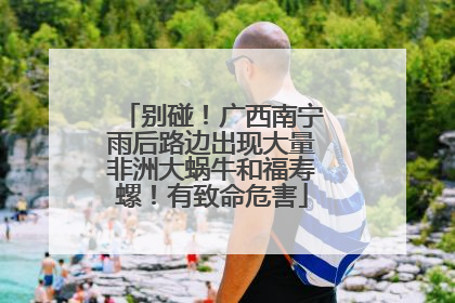 别碰！广西南宁雨后路边出现大量非洲大蜗牛和福寿螺！有致命危害