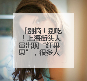 别摘！别吃！上海街头大量出现“红果果”，很多人忍不住了……