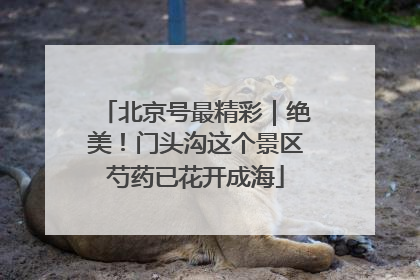 北京号最精彩｜绝美！门头沟这个景区芍药已花开成海