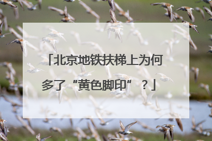 北京地铁扶梯上为何多了“黄色脚印”？