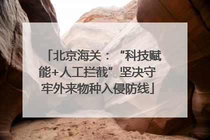 北京海关：“科技赋能+人工拦截”坚决守牢外来物种入侵防线