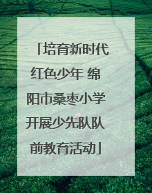 培育新时代红色少年 绵阳市桑枣小学开展少先队队前教育活动