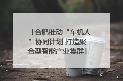 合肥推动“车机人”协同计划 打造聚合型智能产业集群