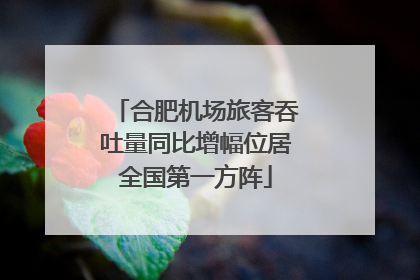 合肥机场旅客吞吐量同比增幅位居全国第一方阵