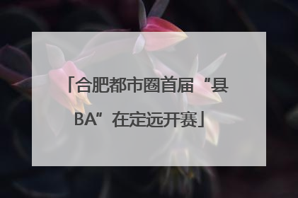 合肥都市圈首届“县BA”在定远开赛