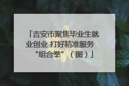 吉安市聚焦毕业生就业创业 打好精准服务“组合拳”（图）