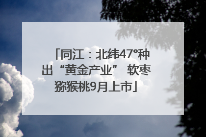 同江：北纬47°种出“黄金产业” 软枣猕猴桃9月上市