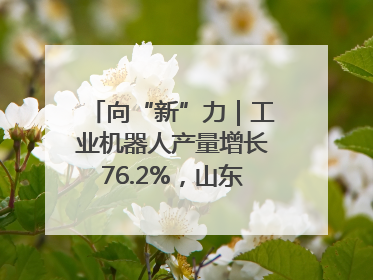 向“新”力｜工业机器人产量增长76.2%，山东因地制宜发展新质生产力