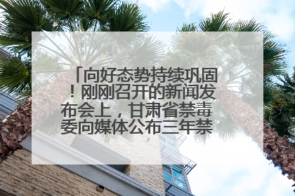 向好态势持续巩固！刚刚召开的新闻发布会上，甘肃省禁毒委向媒体公布三年禁毒工作“成绩单”