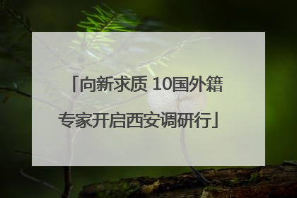 向新求质 10国外籍专家开启西安调研行