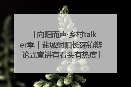 向阳而声·乡村talker季｜盐城射阳长荡镇辩论式宣讲有看头有热度