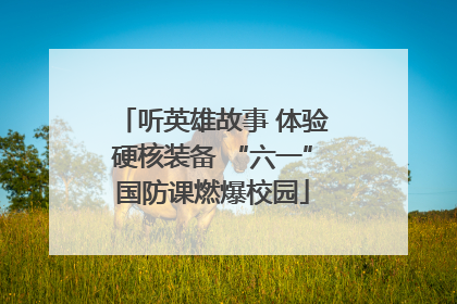听英雄故事 体验硬核装备 “六一”国防课燃爆校园