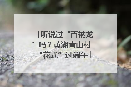听说过“百衲龙”吗？黄湖青山村“花式”过端午