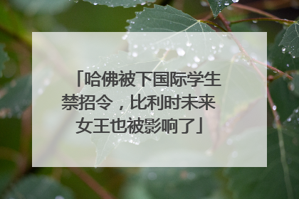 哈佛被下国际学生禁招令，比利时未来女王也被影响了