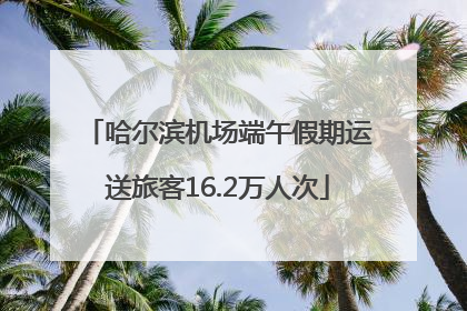 哈尔滨机场端午假期运送旅客16.2万人次