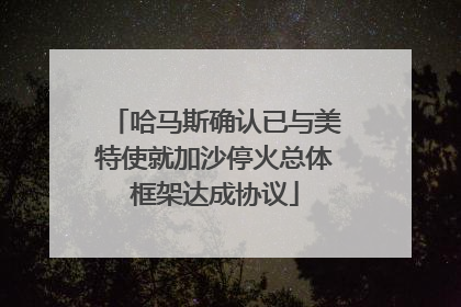 哈马斯确认已与美特使就加沙停火总体框架达成协议