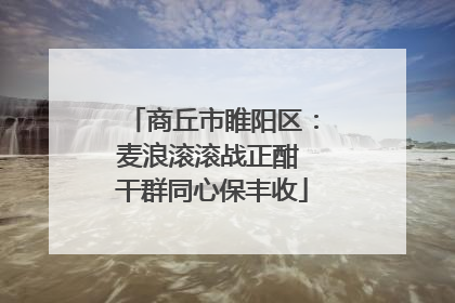 商丘市睢阳区：麦浪滚滚战正酣 干群同心保丰收