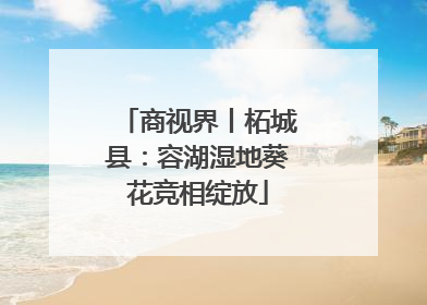 商视界丨柘城县：容湖湿地葵花竞相绽放