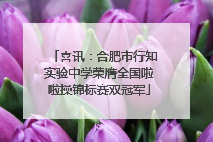 喜讯：合肥市行知实验中学荣膺全国啦啦操锦标赛双冠军