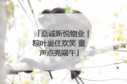嘉诚新悦物业｜粽叶裹住欢笑 童声点亮端午