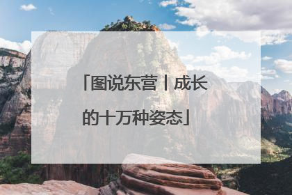图说东营丨成长的十万种姿态