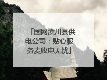 国网潢川县供电公司：贴心服务麦收电无忧