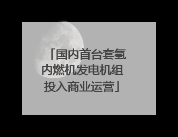 国内首台套氢内燃机发电机组投入商业运营