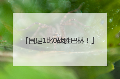 国足1比0战胜巴林！