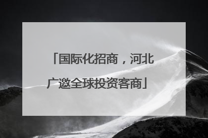 国际化招商，河北广邀全球投资客商