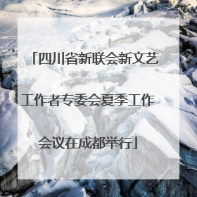 四川省新联会新文艺工作者专委会夏季工作会议在成都举行