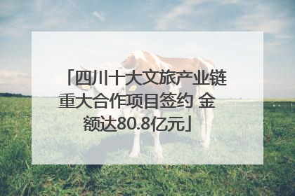 四川十大文旅产业链重大合作项目签约 金额达80.8亿元