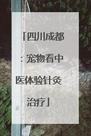 四川成都：宠物看中医体验针灸治疗