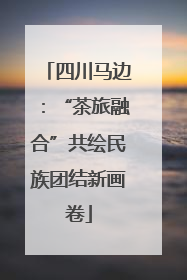 四川马边：“茶旅融合”共绘民族团结新画卷