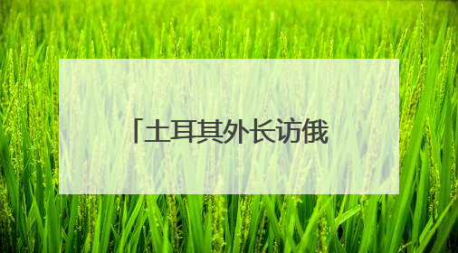 土耳其外长访俄斡旋 俄外长说愿在伊斯坦布尔与乌克兰再谈