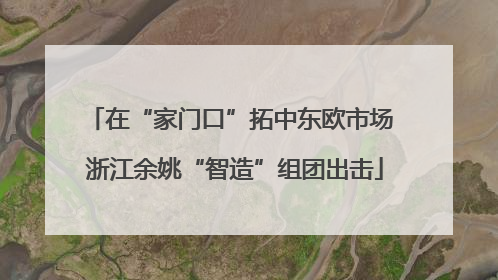 在“家门口”拓中东欧市场 浙江余姚“智造”组团出击