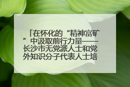 在怀化的“精神富矿”中汲取前行力量——长沙市无党派人士和党外知识分子代表人士培训班在怀化圆满举办