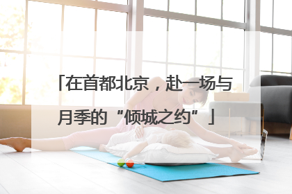 在首都北京，赴一场与月季的“倾城之约”
