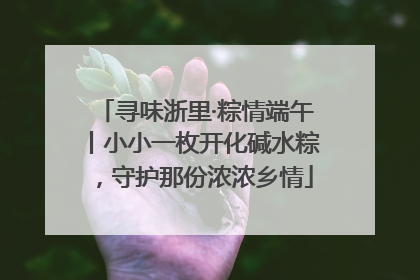 寻味浙里·粽情端午丨小小一枚开化碱水粽，守护那份浓浓乡情
