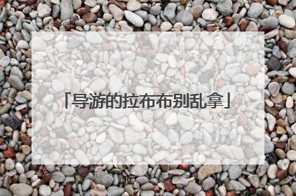导游的拉布布别乱拿